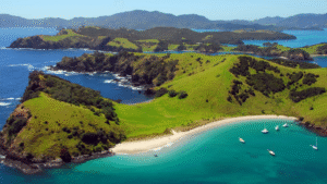 limbajul semnelor limba oficiala noua